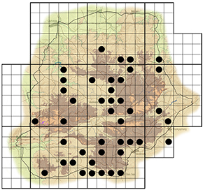 Tarchonanthus campphoratus Waterberg distribution